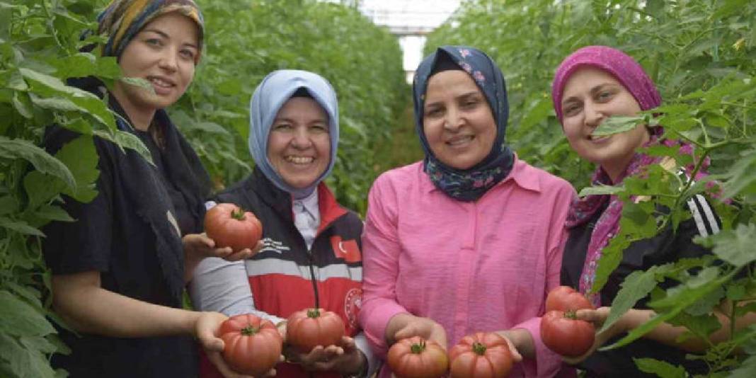 Üretimde aktif kadın eli! 550.000 ton ürün bekleniyor 3
